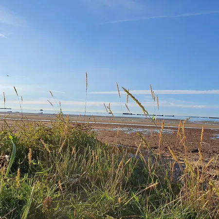 Aloha Saint-Côme-de-Fresné