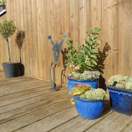 Aloha * Saint-Côme-de-Fresné