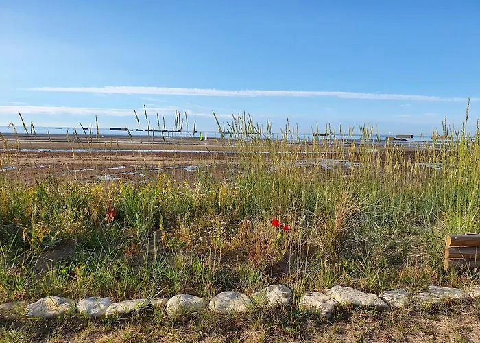Aloha Saint-Côme-de-Fresné