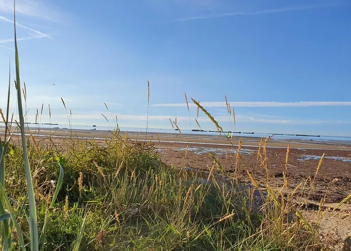 Aloha Saint-Côme-de-Fresné