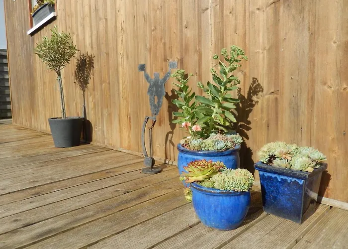 Aloha * Saint-Côme-de-Fresné