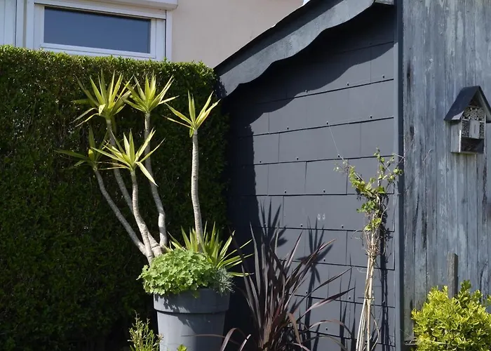 Aloha Saint-Côme-de-Fresné